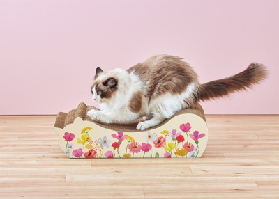 TwEcTgwVcfjq8uYCMB80.jpg?w=940&h=940