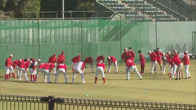 TwbVY6aqR4cx8ihnVB1m.jpg?w=940&h=940