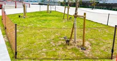 Txh6uUbu1h4Nm6CoVHSn.jpg?w=940&h=940