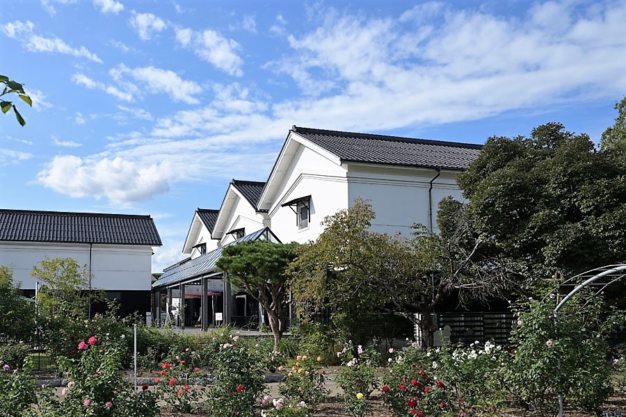 「CONNECT⇄_」展 京都府域展開事業「CONNECT-EXPAND」に賛同し、 グンゼ博物苑にて障害のある人たちにより生み出されたアート作品を展示します