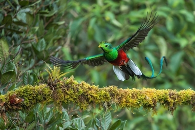 TyVnABioec8BzBlW77Y9.jpg?w=940&h=940