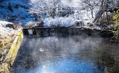 TyZpysm6fO7Trn1uFd77.jpg?w=940&h=940