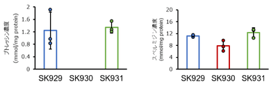 図3　各腸内細菌株を定着させたハエ全身のポリアミン濃度
