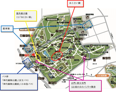 TzHo3f93IAak1KMwINrP.png?w=940&h=940