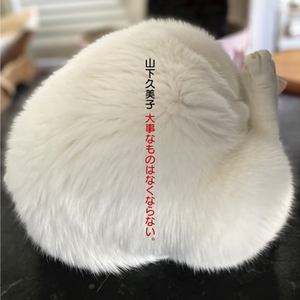 TzK2c4H0sEXAypr4s8vf.jpg?w=940&h=940