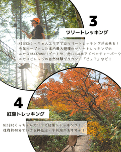 U0LXeT66FpFD6WzmdHp0.png?w=940&h=940