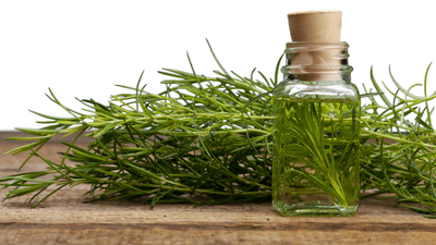 U0ab7rLu4oLapDAIlNTQ.png?w=940&h=940