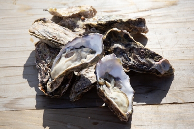 U0lYYvzFDlIOY2MGAwC9.jpg?w=940&h=940