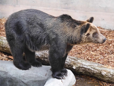 U1THHCsZgwCZO6S49pL3.jpg?w=940&h=940