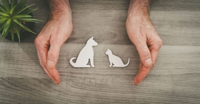 U1t32jGx30DNmCX2XaZC.jpeg?w=940&h=940