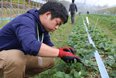 U2gL5RPUe9or9YbsGrqG.png?w=940&h=940