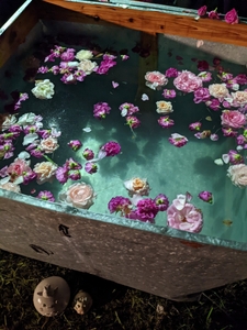 U2tI7N8K17YHt7DFEq82.jpg?w=940&h=940