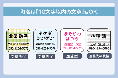 町名は「10文字以内の文章」もOK