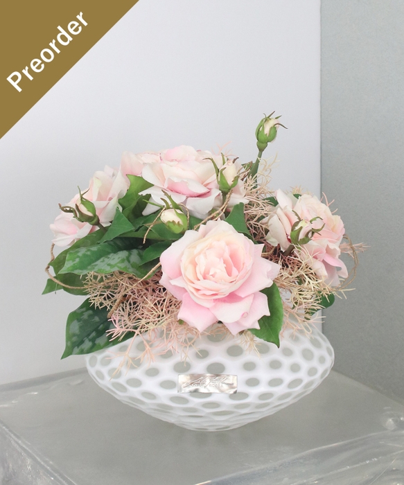 SDGsプリマローズ¥38,500税込