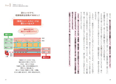 U3YWg0nH64v0pVSV09c8.png?w=940&h=940