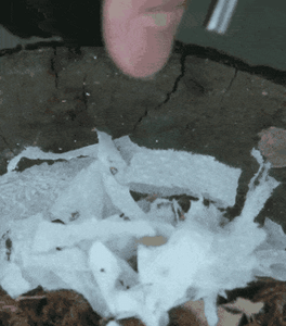 U3tHyVA1uc2ceGYpnpQG.gif?w=940&h=940