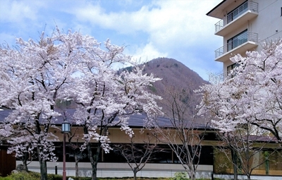 U48Z28UctolAwh79Rflb.jpg?w=940&h=940