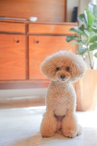 U4lfS40FdB1Ri35HE4rs.jpg?w=940&h=940