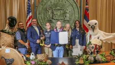 U52rK79R12qVdHssm2nr.png?w=940&h=940