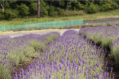 U7Nmz7iU66H8GIogd2Qj.jpg?w=940&h=940