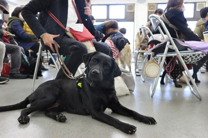 昨年実施の様子(1)