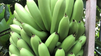 UCDhCok9Sn2UqtI0FUrl.jpg?w=940&h=940