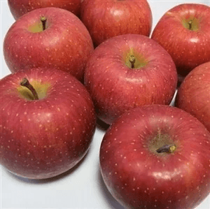 UCjWDyUubwvSWUkeezzd.png?w=940&h=940