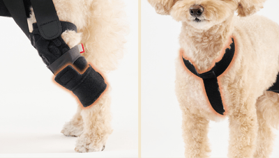 UE01UuGcWv5Fim05qUe4.png?w=940&h=940