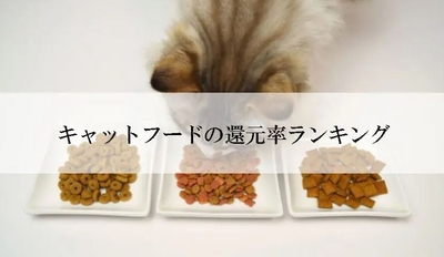 UF9DlZSo3eZDIsrgN1Du.jpg?w=940&h=940