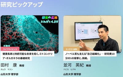 UGowfcJUbxGlRg65jUsL.jpg?w=940&h=940