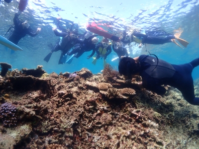 UHQIwr6MExs33Ezvvns5.jpg?w=940&h=940