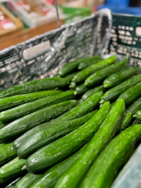 詰め放題・つかみ取り・すくい取り・刺し放題!等のイベントが盛りだくさん!