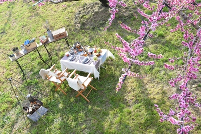 UJtTd7NFcAQh6OEMMkIR.jpg?w=940&h=940