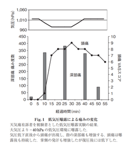 UJveyu3KV2hEJ6ha3gZz.png?w=940&h=940