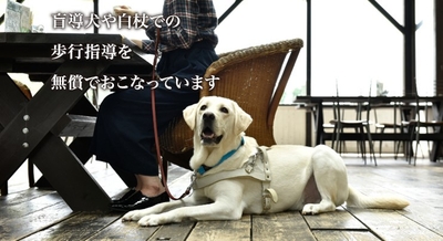 UK7hz7BvvJj5q4hX2Phz.jpg?w=940&h=940