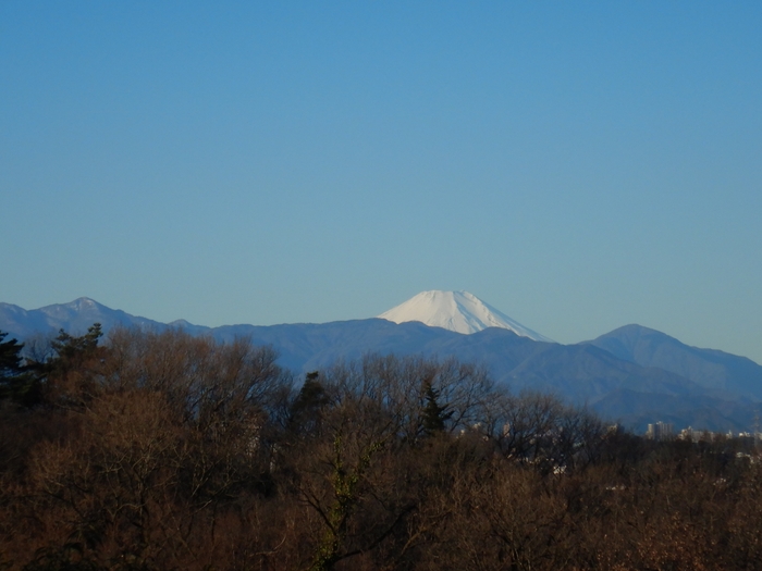 園内からの景色
