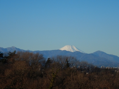 園内からの景色