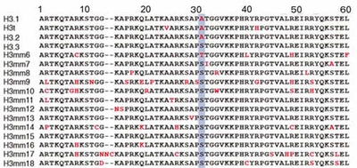 図5（文末にキャプション説明があります）