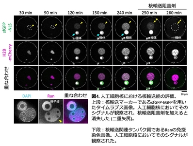 UM2nAsb8yoE2a8JbuboC.jpg?w=940&h=940