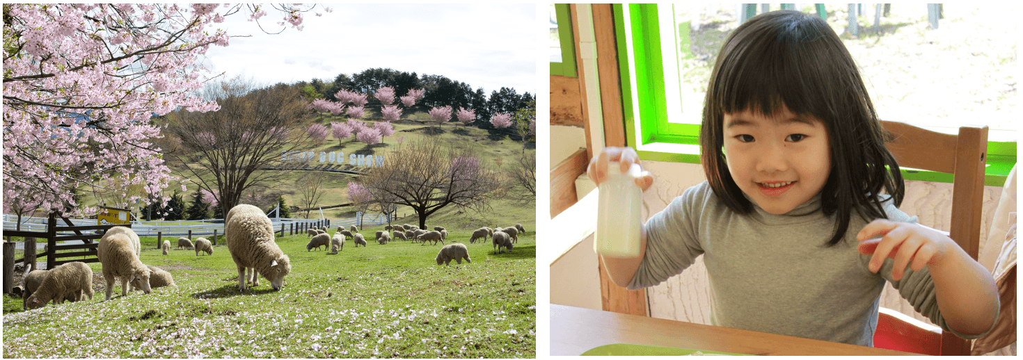 画像提供:伊香保グリーン牧場