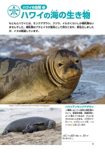 UNoKoia2ziQ4TFmhO7Kc.jpg?w=940&h=940