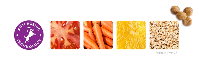 150以上の原材料から臨床試験で実証された栄養