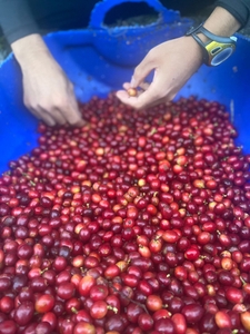 UP2wYDnWQBcToTeZvB3E.jpg?w=940&h=940