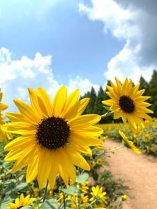 UPIxXxhI3yyugE7ZHmxJ.JPG?w=940&h=940