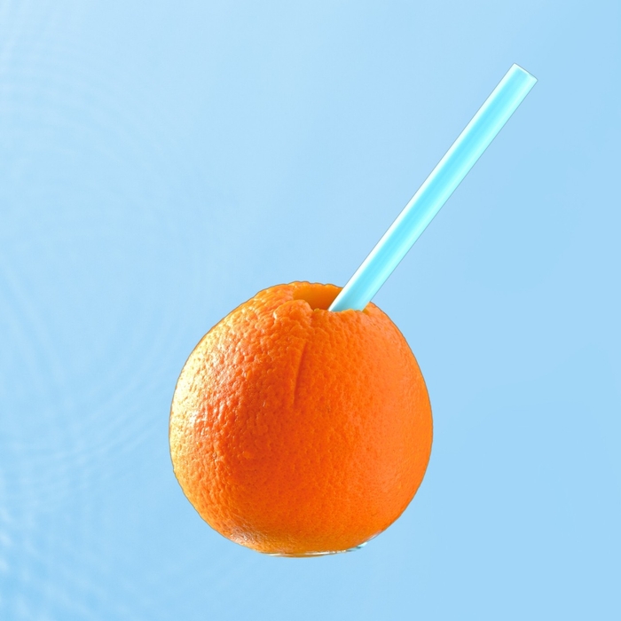 ストローをさしたオレンジの器で飲む、つぶつぶ感が楽しい果汁100%のオレンジジュース