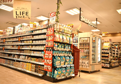 UR9RKuraA61VAgUQO1kd.png?w=940&h=940