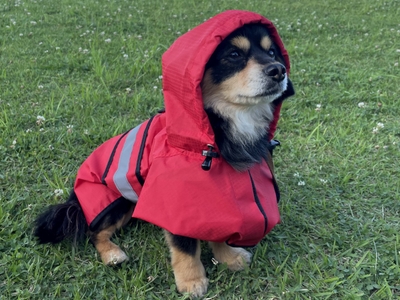 URNxgKvjo7gPErcRJlL5.jpg?w=940&h=940