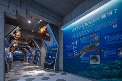 URdbaQzYebRJ00YyUTEZ.jpg?w=940&h=940