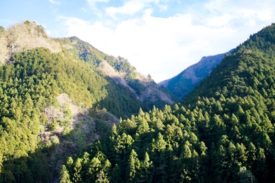 URiwn34db7pTRc9tzxDQ.jpg?w=940&h=940