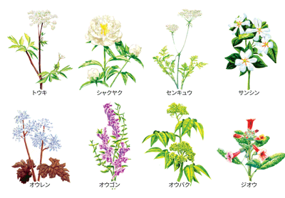 8種の混合植物エキス